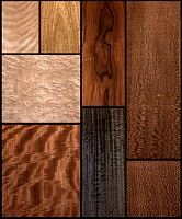 Wood-Veneer-Birch-Cerejeira-Birdseye-Rosewood-Eucalyptus.jpg