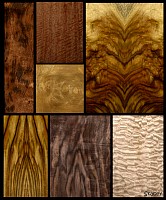 Wood-Veneer-Camphorwood-Crotch-Tigerwood-Quilted-Maple-Marbled-Claro-Walnut.jpg