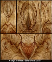 Wood-Veneer-Camphorwood-Flame-Crotch.jpg