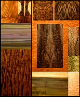 Wood-Veneer-Crotch-Rosewood-Walnut-Marbled-Quilted-Mahogany-Claro-Rainbow-Poplar.jpg