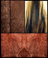 Wood-Veneer-Redwood-Burl-Rainbow-Poplar-Anglestep-Quilt-Walnut.jpg